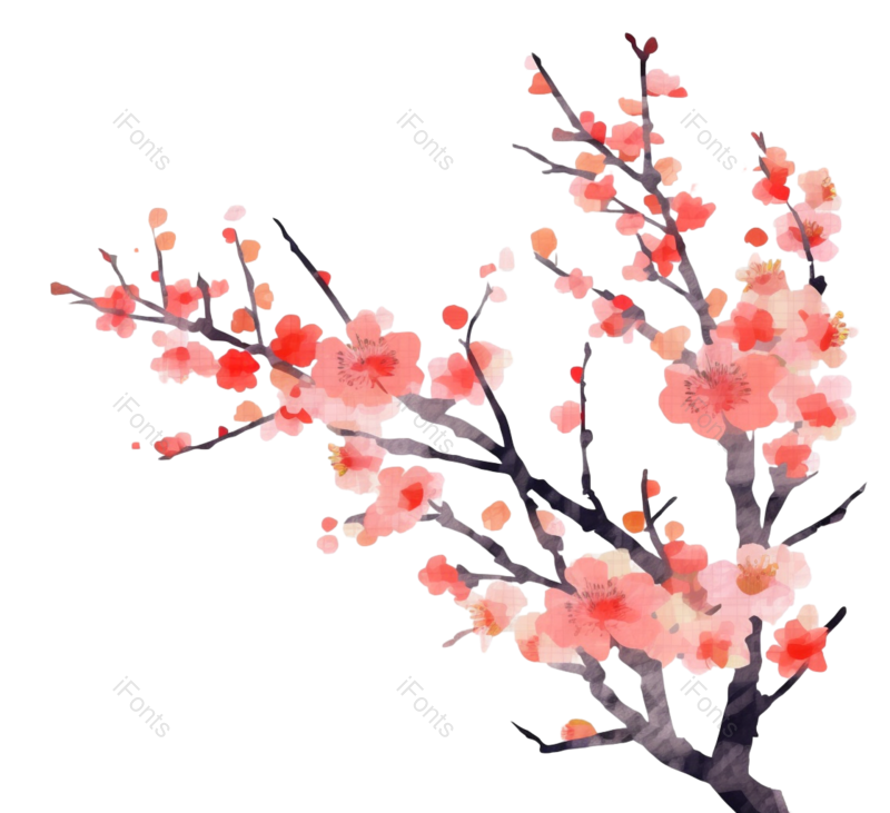 粉红色的花图片,白色背景元素,樱花PNG,免抠素材